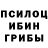 Псилоцибиновые грибы мухоморы Ilia Klimovich