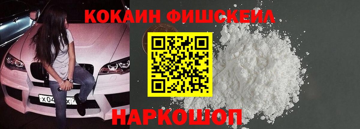 Камень-на-Оби  КОКАИН Fish Scale  Вход с VPN 