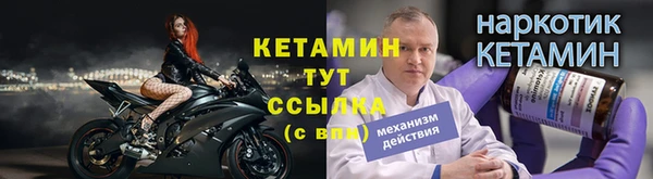прущие грибы Новокубанск