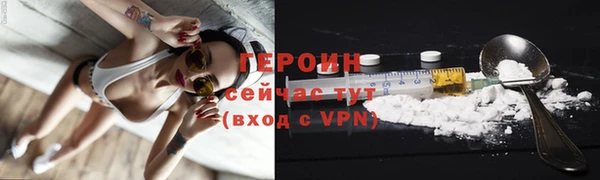 прущие грибы Новокубанск