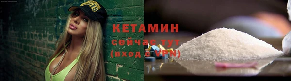 прущие грибы Новокубанск