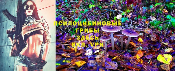 винт Билибино
