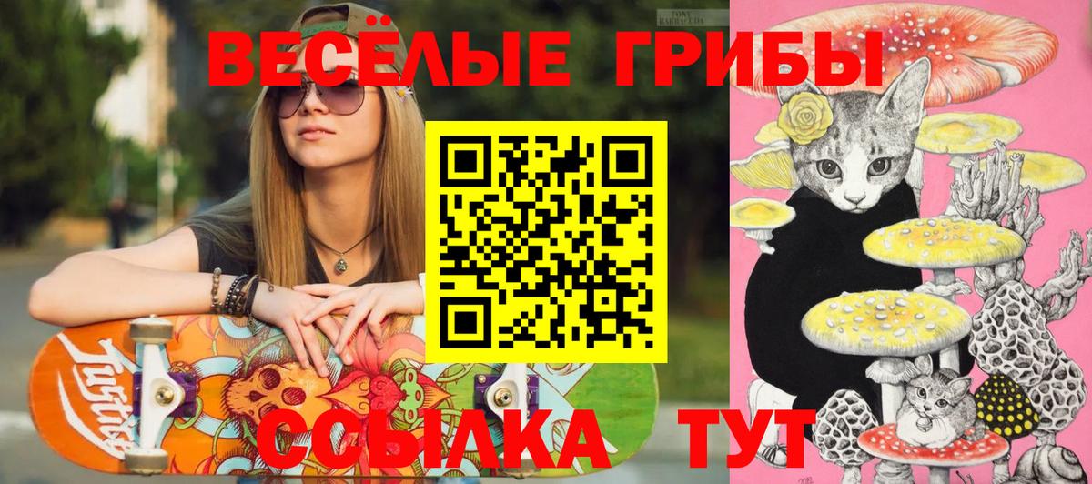 Галлюциногенные грибы Cubensis Камень-на-Оби