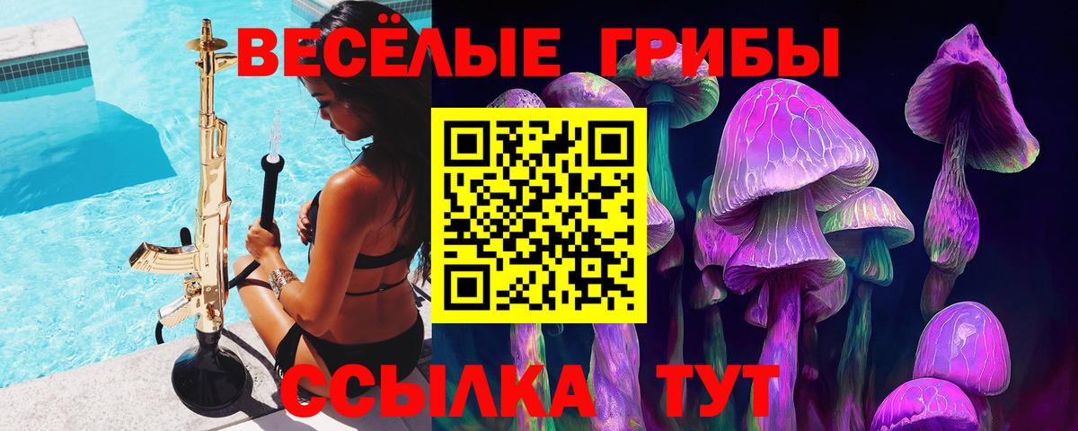 Галлюциногенные грибы Cubensis  Камень-на-Оби  Галлюциногенные грибы Magic Shrooms 