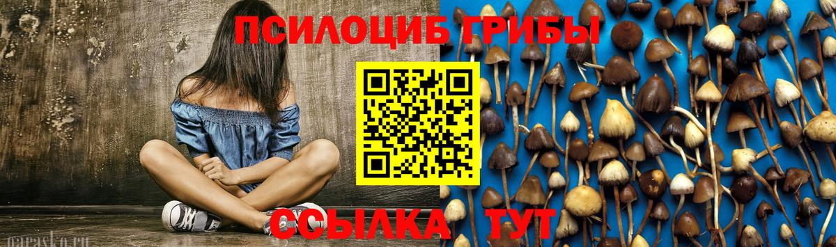 Камень-на-Оби  Псилоцибиновые грибы мухоморы  Псилоцибиновые грибы ЛСД  Вход с VPN 