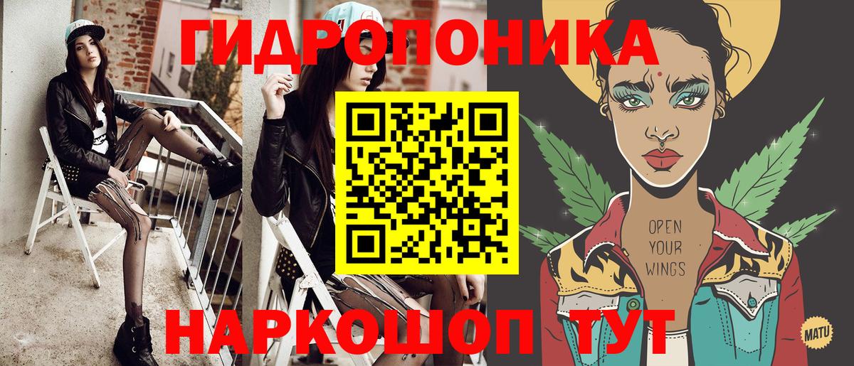 Каннабис OG Kush Камень-на-Оби